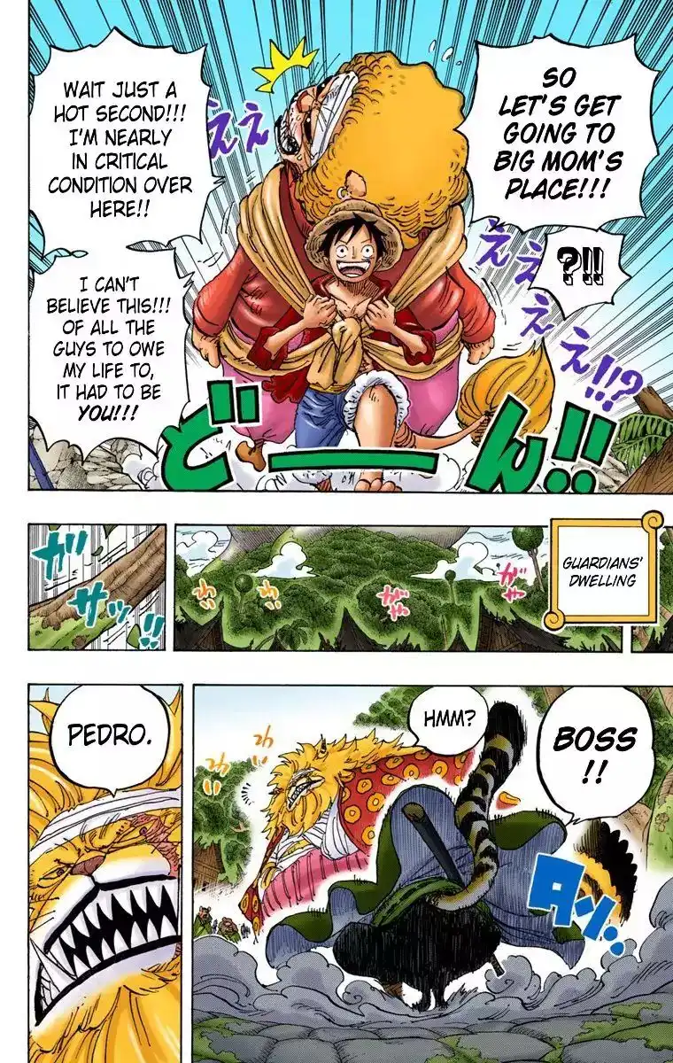 One Piece - Digital Colored Comics Chapter 822 8